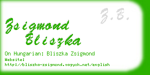 zsigmond bliszka business card